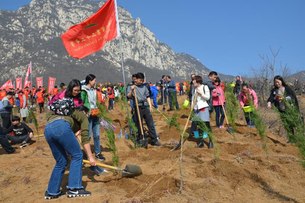 热火朝天把树植 22 1.jpg